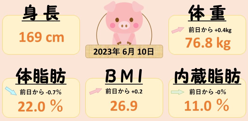 0610 座りっぱなしの１日<br>　ダイエット日記-Day10　ー2023/6/10ー