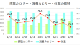 4349e120ff75a699885c6a2409819d39 ダイエット日記-3週間目（6月15～22日）の記録まとめ