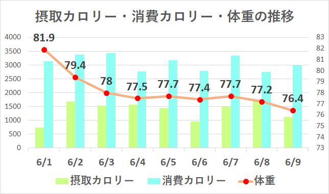 89e93be4033e7871d06c2126e74307ea ダイエット日記-１週間目（6月1～8日）の記録まとめ