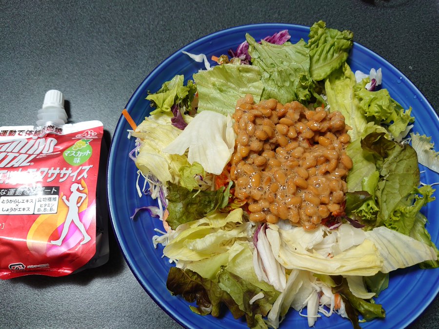 dbfaba4d331defe004014b8c9ac8958b 夏バテ気味かも……！？　ダイエット日記-Day39　ー2023/7/9ー