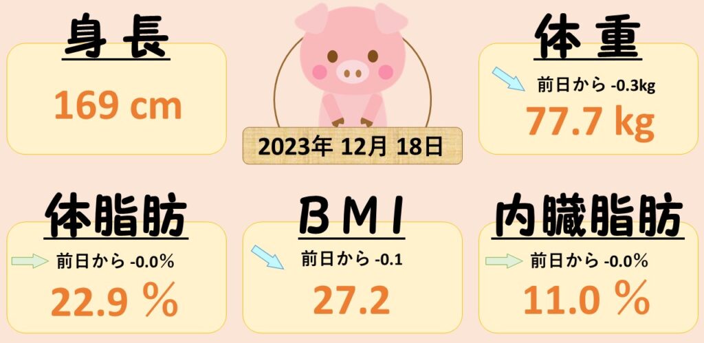 1218 アイスランニング！！　ダイエット日記-Day17　ー2023/12/18ー