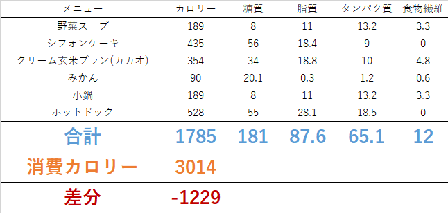 1218 アイスランニング！！　ダイエット日記-Day17　ー2023/12/18ー