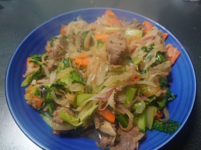 74b6879f59099aff71c19457e1822544 ダイエット再開だコノヤロー！！　ダイエット日記-Day1　ー2023/12/2ー