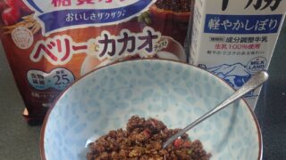 0602asa 日曜出勤……！？　ダイエット日記-Day22　ー2024/6/2ー