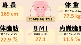 0612 ダイエット1ヵ月達成！？　ダイエット日記-Day32　ー2024/6/12ー