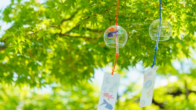 29754817 s 札幌の最高気温25℃～(^^♪　ダイエット日記-Day69　ー2024/7/19ー